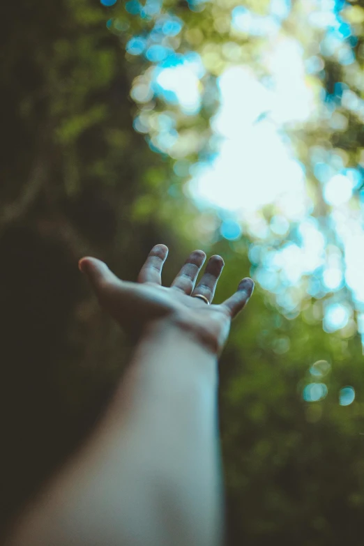 a person reaching up into the sky with their hands, a picture, inspired by Elsa Bleda, unsplash, stood in a forest, close-up of thin soft hand, instagram post, bokeh ”