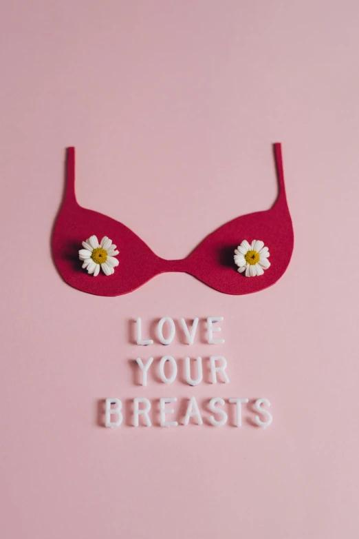 a close up of a bra on a pink surface, by Juliette Wytsman, trending on pexels, feminist art, daisies, i love you, medical image, with large breasts