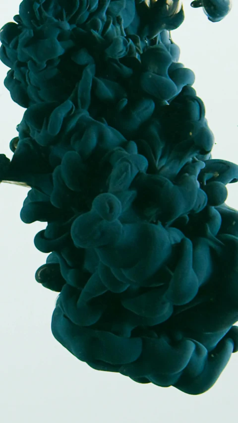 a close up of a blue substance in water, inspired by Alberto Seveso, unsplash, dark green tint, photographed on colour film, simulacrum of a space fungus, black ink