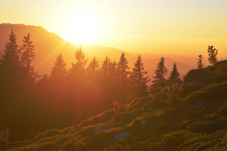 a man standing on top of a lush green hillside, by Niko Henrichon, pexels contest winner, romanticism, sun sunset, spruce trees, amber glow, with inspiring feeling