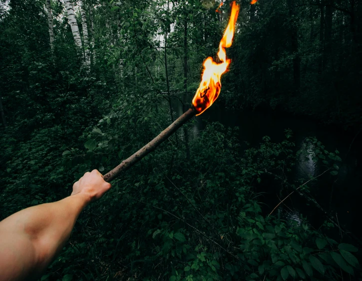 a person holding a stick with a fire on it, pexels contest winner, renaissance, in jungle forest, instagram post, torch, spear