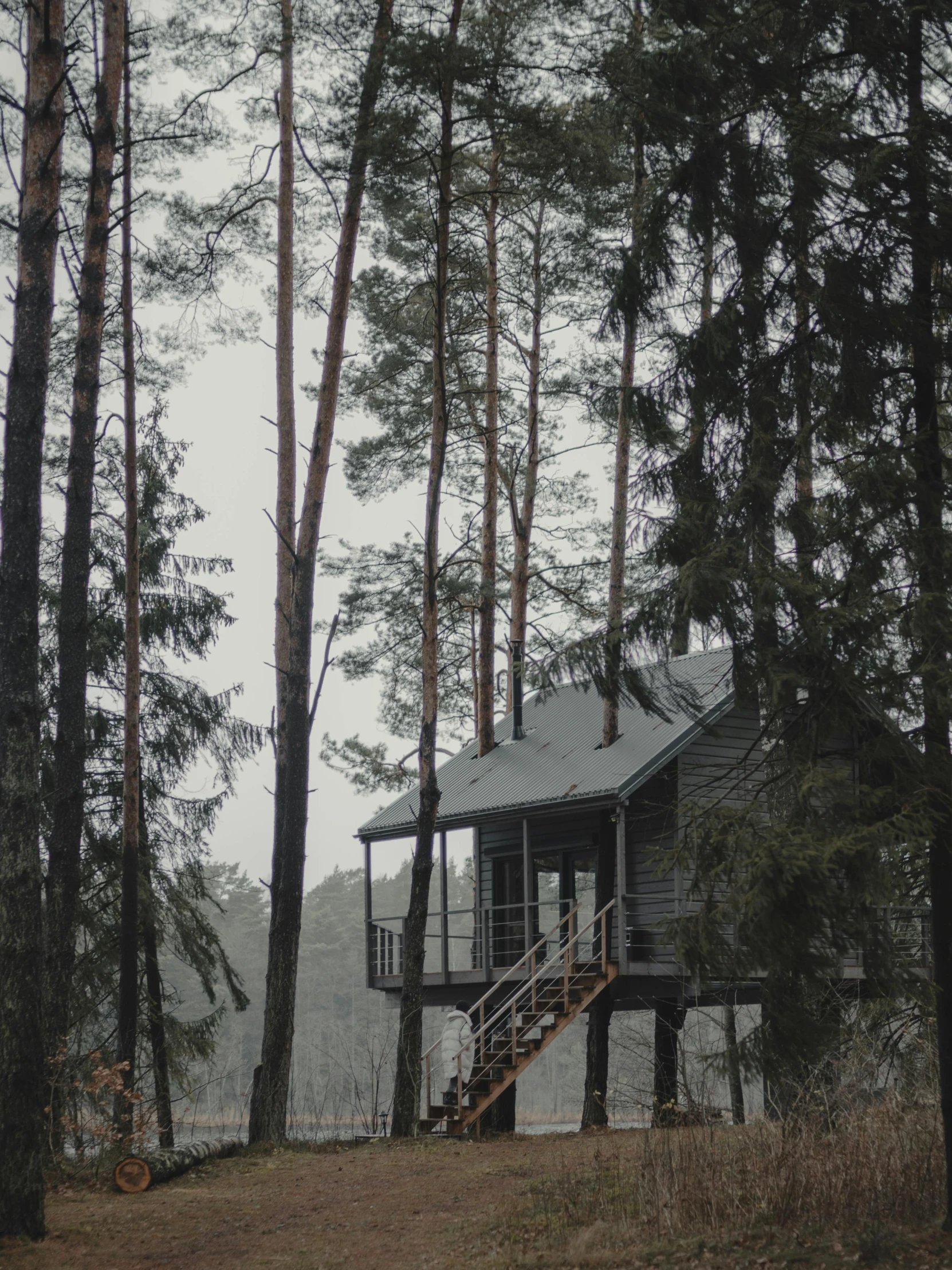 a cabin sitting in the middle of a forest, inspired by Ivan Shishkin, unsplash contest winner, hurufiyya, overcast gray skies, in a tree house, фото девушка курит, instagram picture