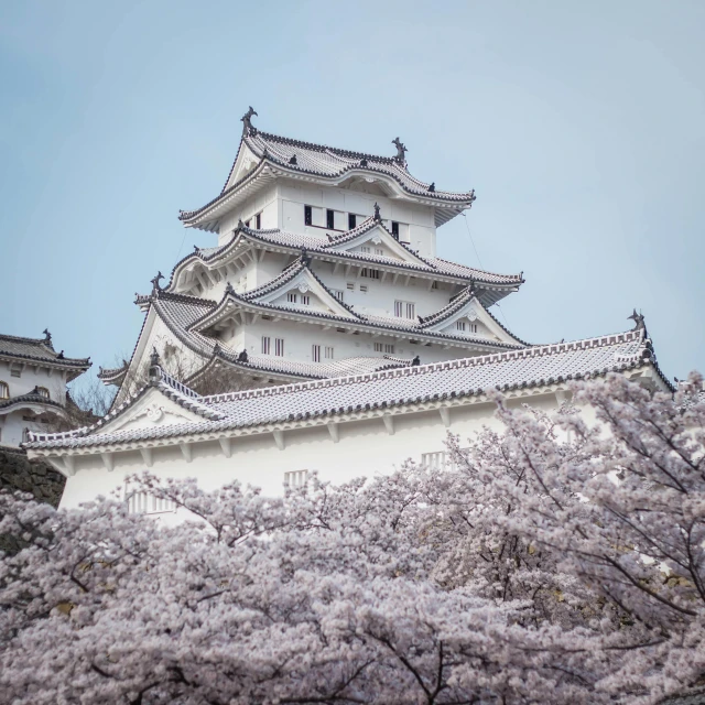 a large white building sitting on top of a lush green field, inspired by Kaii Higashiyama, unsplash contest winner, shin hanga, cherry blossom trees, old castle, grey, festivals