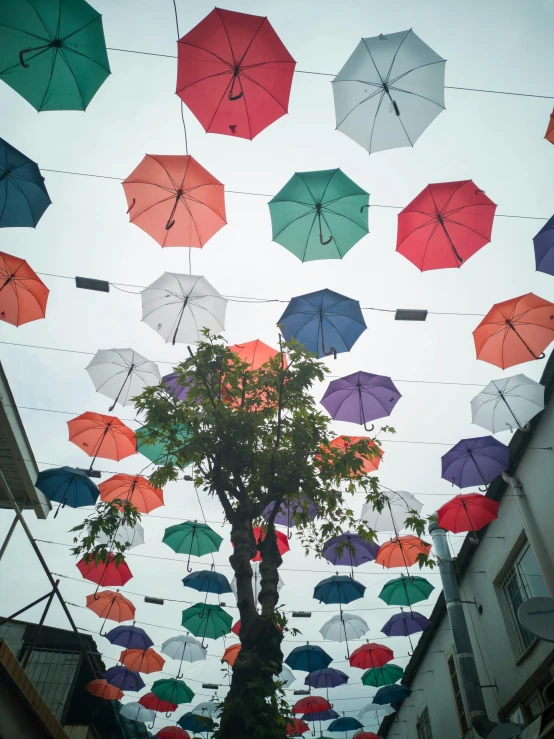 a street filled with lots of different colored umbrellas, an album cover, by Dóra Keresztes, temporary art, hanging trees, trending on vsco, viewed from below, outdoor photo