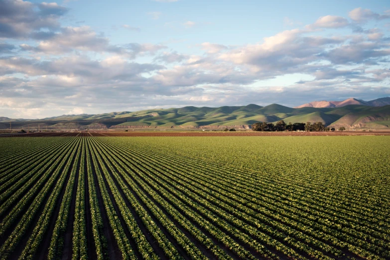 a field of crops with mountains in the background, unsplash, precisionism, central california, ai weiwei and gregory crewdson, high quality product image”, various sizes