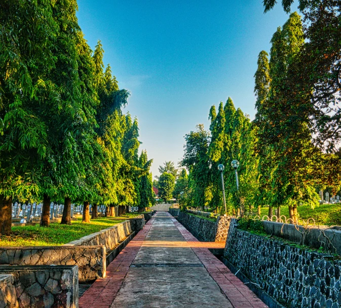 a walkway in a park lined with trees, by Julia Pishtar, sumatraism, sunny sky, historical setting, thumbnail, indore