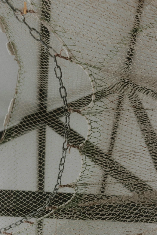 a close up of a bird in a cage, inspired by Chiharu Shiota, large chain, sails and masts and rigging, fish skin, restored