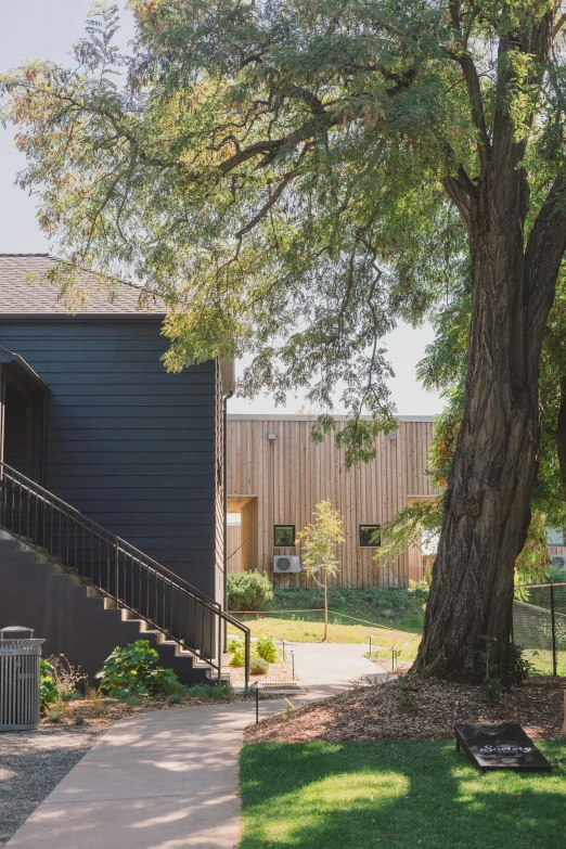 a tree that is next to a building, a digital rendering, unsplash, american barbizon school, black vertical slatted timber, french village exterior, photographed from the back, napa