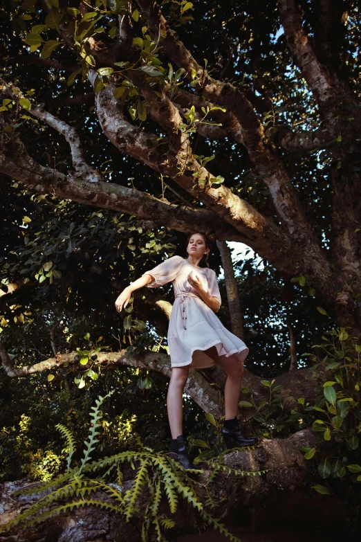a woman standing on a tree branch holding a frisbee, unsplash, happening, nico wearing a white dress, grim fashion model looking up, ( ( ( kauai ) ) ), ignant
