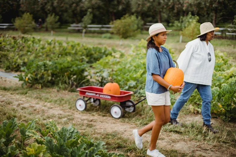 a couple of people walking through a field with pumpkins, pexels, process art, carrying a tray, gardening, kids, orange and white color scheme