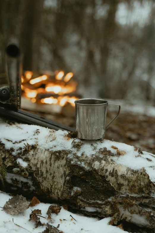 a cup of coffee sitting on top of a log, in the winter, stainless steel, wilderness, next to a cup