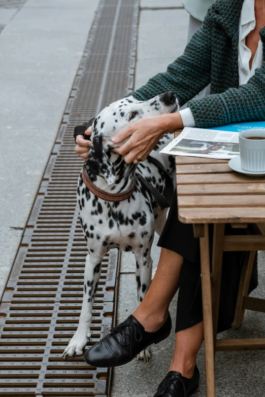 a woman sitting at a table with a dog, by Jan Tengnagel, trending on unsplash, white with chocolate brown spots, sidewalk, square, patterned