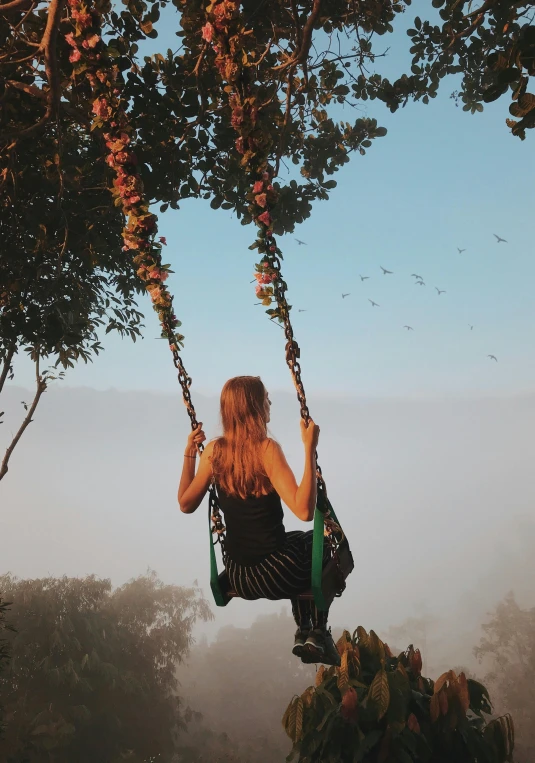 a woman sitting on a swing on a foggy day, an album cover, inspired by Elsa Bleda, pexels contest winner, summer evening, lush vista, profile image, flitting around in the sky