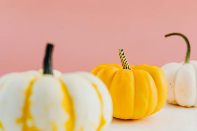 a row of small white and yellow pumpkins, inspired by Sarah Lucas, unsplash, pink, background image, halloween decorations, professional product photography