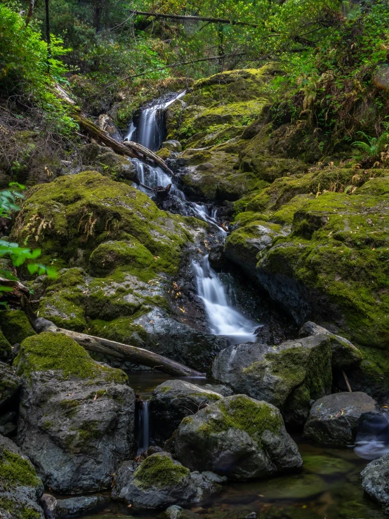 a stream running through a lush green forest, by Randall Schmit, unsplash, with lots of dark grey rocks, magma cascades, mechabot, today\'s featured photograph 4k