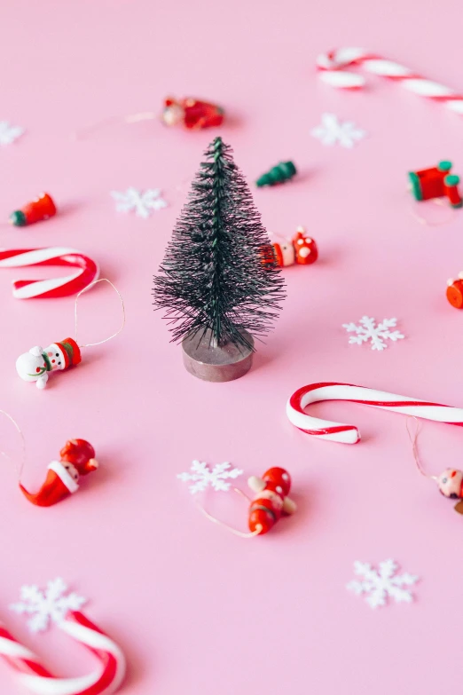 a small christmas tree surrounded by candy canes and candy canes, by Julia Pishtar, light pink background, zoomed in shots, santa, knolling