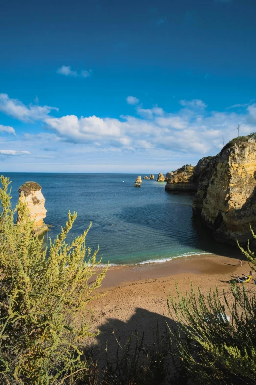 a large body of water next to a sandy beach, a picture, renaissance, coastal cliffs, caparisons, snacks, rocha