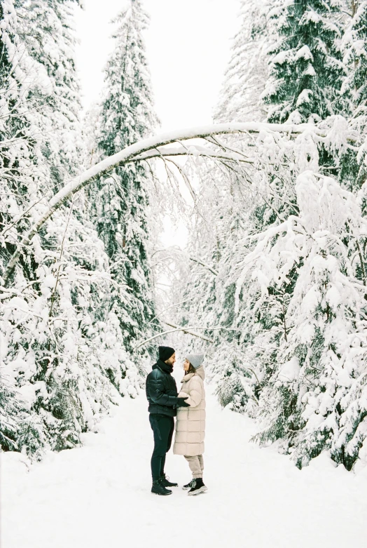 a man and woman standing next to each other in the snow, by Lucia Peka, pexels contest winner, tall large trees, white background, back, a cozy