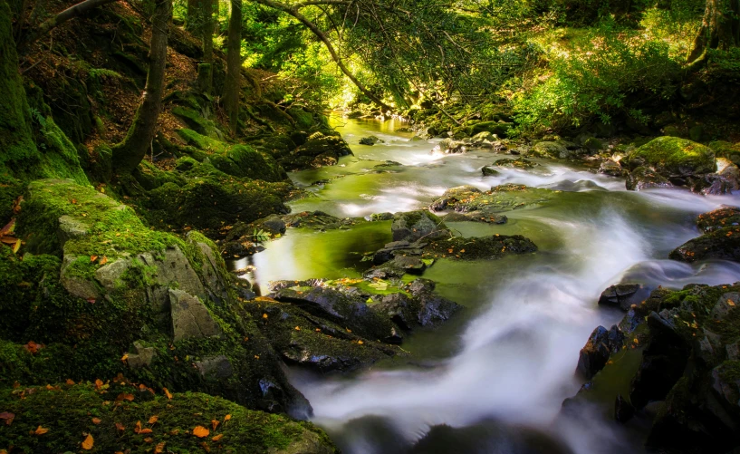 a stream running through a lush green forest, by Matthias Stom, pexels contest winner, fan favorite, detmold, body of water, rapids