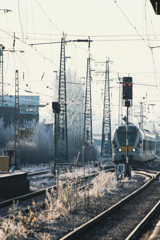 a train traveling down train tracks next to a train station, by Jan Tengnagel, happening, frosty, electrical signals, full daylight, 1990s photograph