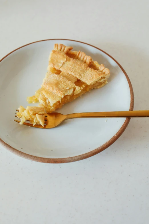 a piece of pie on a plate with a fork, by Robbie Trevino, yellow, oak, 6, side
