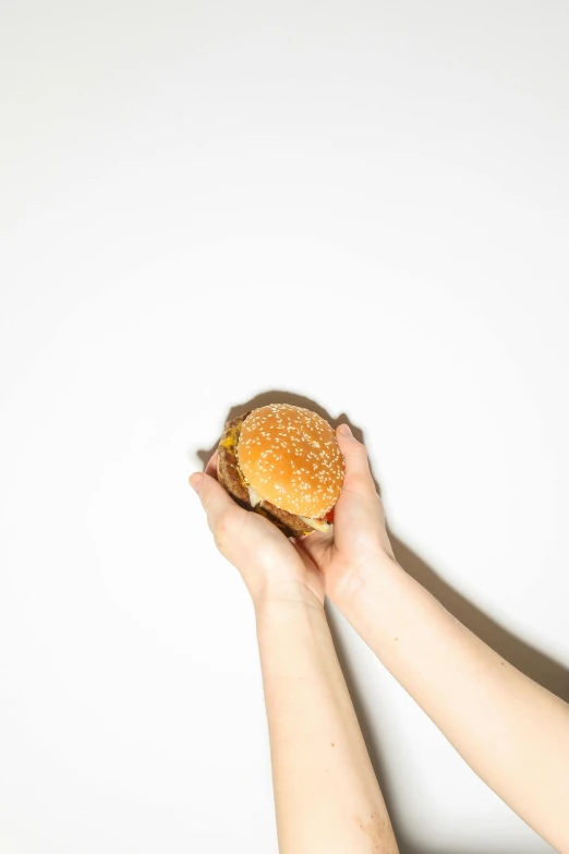 a person holding a hamburger in their hands, an album cover, by Gavin Hamilton, unsplash, voluptuous sesame seed bun, on a white table, 🐿🍸🍋, profile image