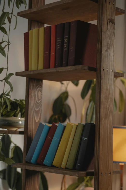 a book shelf filled with lots of books next to a lamp, multicoloured, filmstill, made of wood, up-close