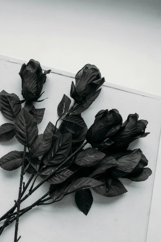 a bunch of black roses sitting on top of a table, inspired by Robert Mapplethorpe, trending on pexels, made of silk paper, ethereal details, main colour - black, black