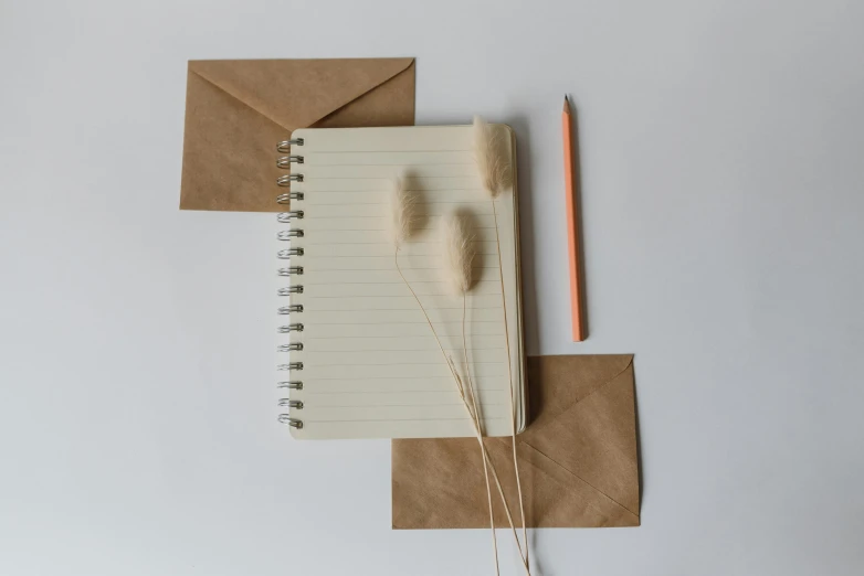 a notepad sitting on top of a piece of paper next to a pencil, pexels contest winner, postminimalism, bullrushes, brown and white color scheme, email, paper decoration