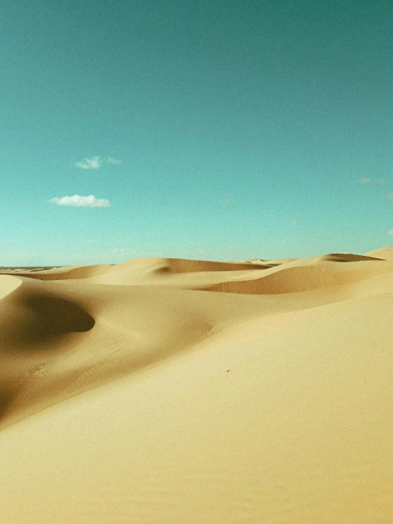 a person riding a horse in the desert