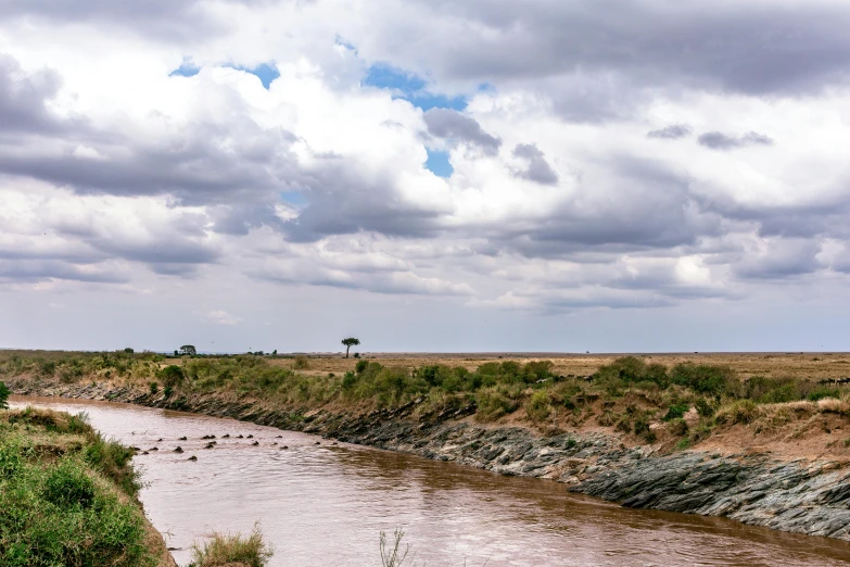 a river running through a dry grass covered field, unsplash, hurufiyya, unmistakably kenyan, clouds around, acacia trees, slide show