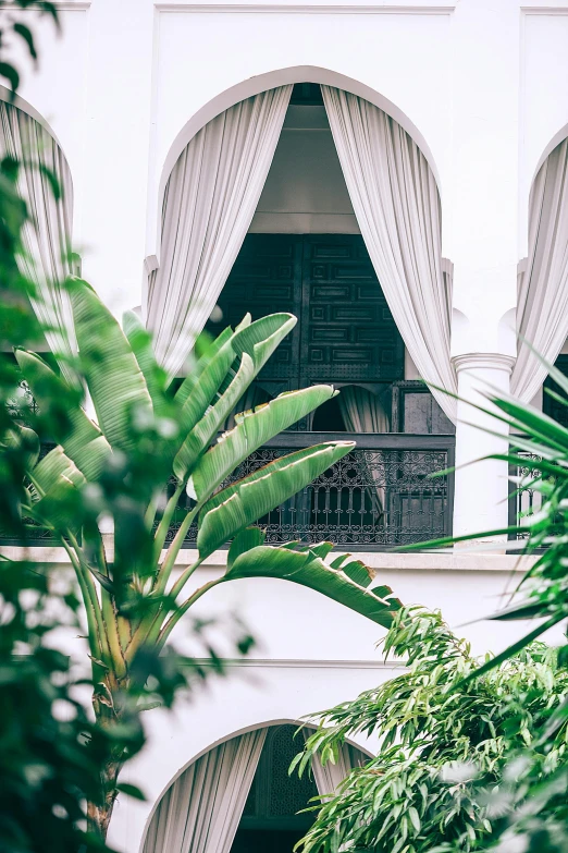 a building that has a bunch of plants in front of it, inspired by Riad Beyrouti, trending on unsplash, arabesque, beautiful drapes, hotel room, banana trees, long flowing white robe