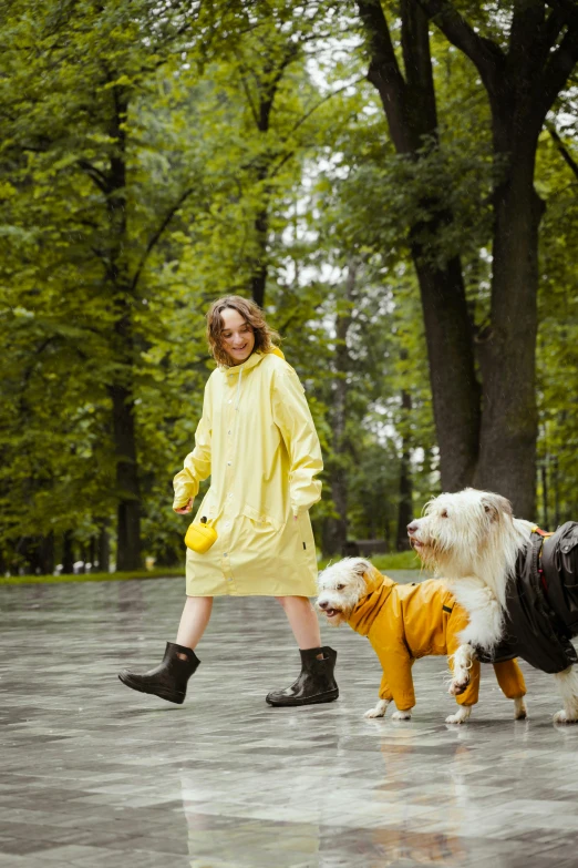 a woman walking two dogs in raincoats, by Julia Pishtar, shutterstock, yellow clothes, instagram post, city park, cutest
