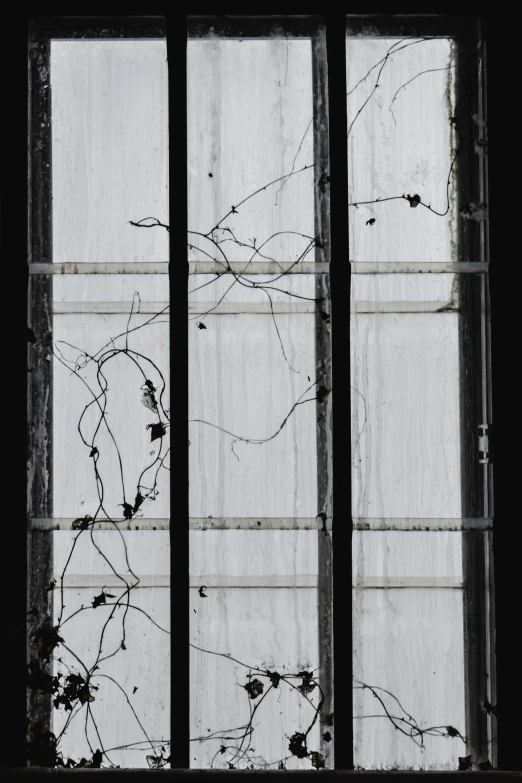 a black and white photo of a window with vines growing out of it, an abstract drawing, inspired by Chiharu Shiota, unsplash, metal with chipped paint texture, isolate translucent, detail, cell bars