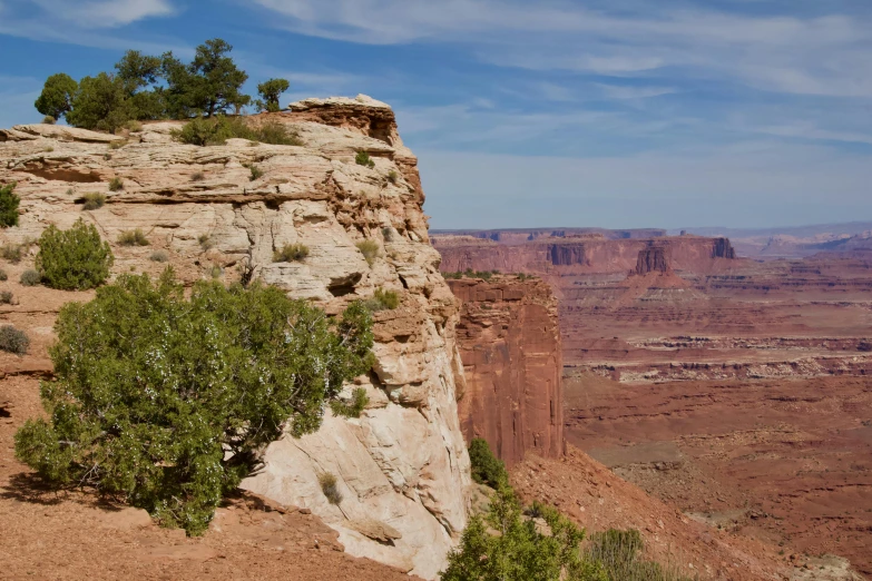 a man standing on top of a cliff next to a tree, by Linda Sutton, unsplash, renaissance, moab, seen from a distance, promo image, highly detailed rock structures