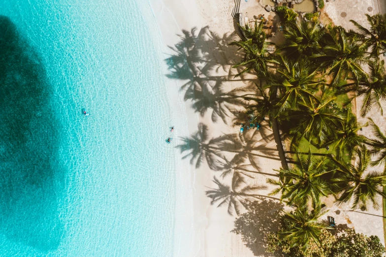 an aerial view of a beach with palm trees, pexels contest winner, thumbnail, standing on a beach in boracay, good light, tans