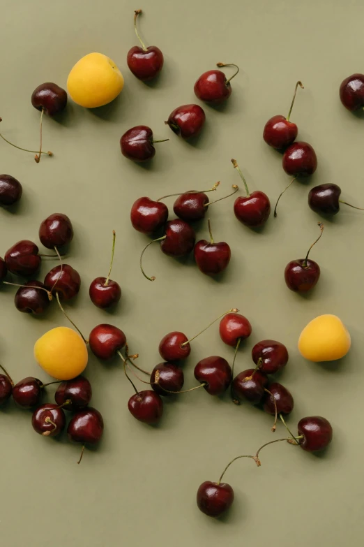 a bunch of cherries sitting on top of a table, profile image