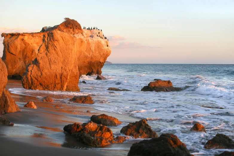 a group of birds sitting on top of a rock next to the ocean, by Kristin Nelson, pexels contest winner, romanticism, malibu canyon, panoramic, rock and sand around, evening light