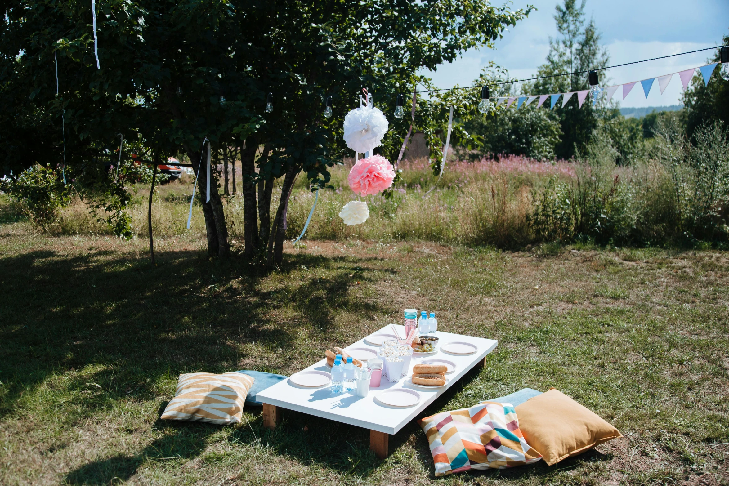 a picnic table set up in the middle of a field, by Alice Mason, unsplash, at a birthday party, with paper lanterns, white and pink cloth, urban surroundings