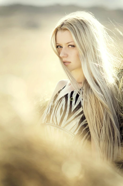 a woman with long blonde hair standing in a field, an album cover, inspired by Konstantin Vasilyev, backlight photo sample, silver long hair, golden grasslands, intense white hair