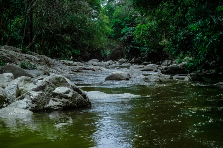 a river running through a lush green forest, an album cover, pexels contest winner, sumatraism, grey, floating rocks, tamborine, empty remote wilderness