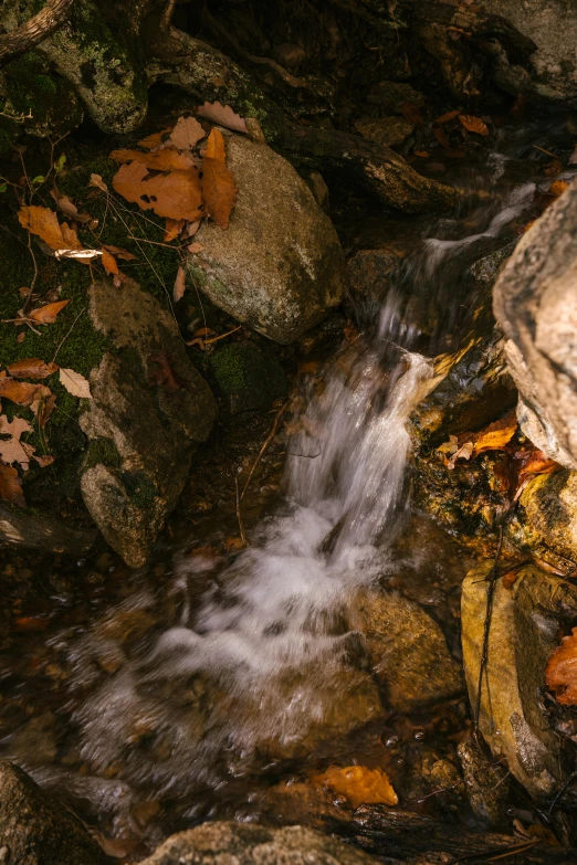 a stream of water running over rocks in a forest, a picture, by Leo Michelson, unsplash contest winner, mid fall, medium format. soft light, malibu canyon, today\'s featured photograph 4k