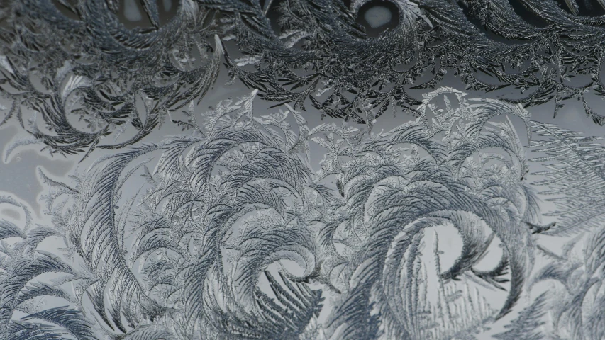 a close up of frost on a window, inspired by Arthur Burdett Frost, zbrush central, conceptual art, swirling silver fish, displacement map, intricate metal, chaotic sea setting