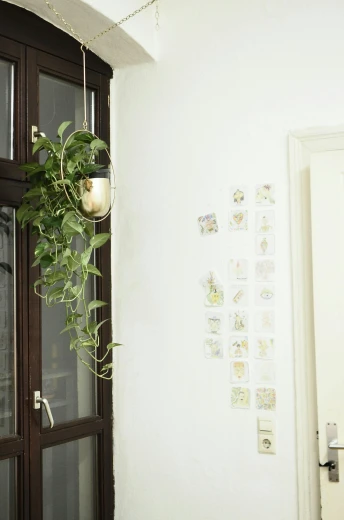 there is a potted plant in the corner of the room, inspired by Elsa Bleda, unsplash, hung above the door, ( ( photograph ) ), studio ghibili, gold and green