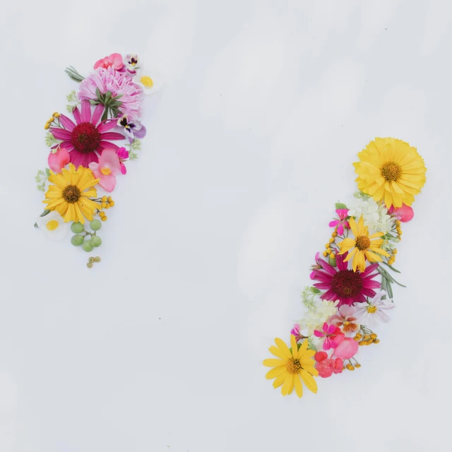 flowers are arranged in the shape of the letter v, trending on unsplash, two suns, white backdrop, floating bodies, pink and yellow