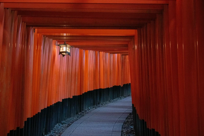 a tunnel of red tori tori tori tori tori tori tori tori tori tori tori tori tori tori, inspired by Torii Kiyomoto, pexels contest winner, ukiyo-e, orange lights, square, curving geometric arches, photo”