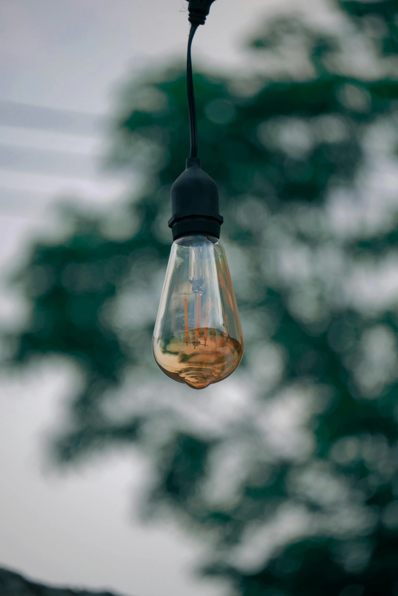 a light bulb hanging from a wire with a tree in the background, pexels contest winner, renaissance, liquid gold, light sensor, light tan, lumens