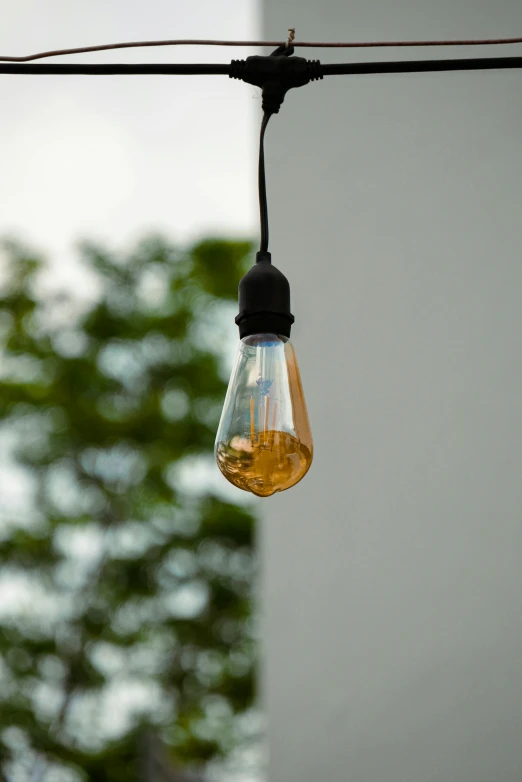 a light bulb hanging from a wire with a tree in the background, detailed product image, glowing oil, carbon black and antique gold, oled lights in corners