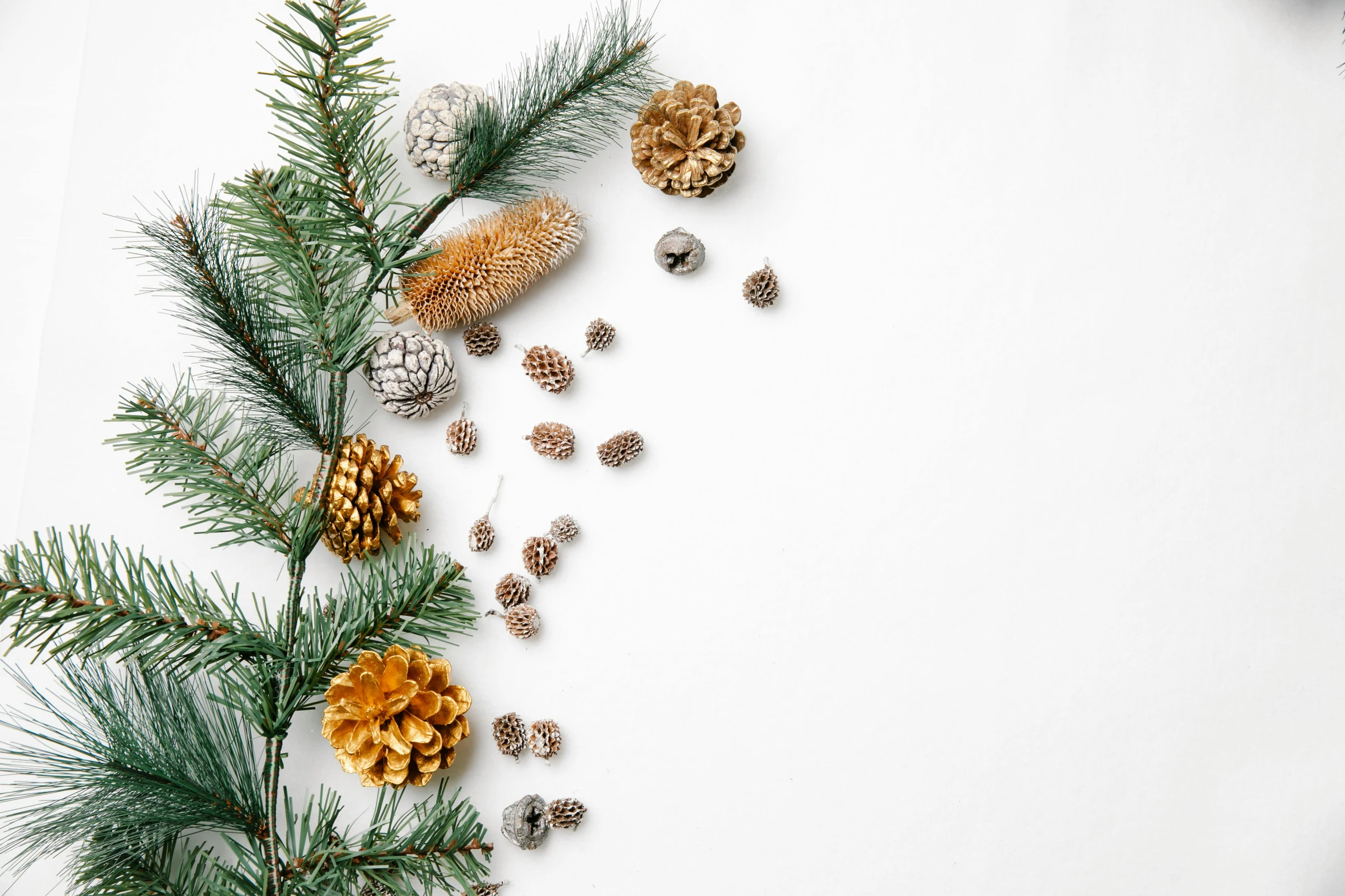 pine cones and pine branches on a white background, pexels, 15081959 21121991 01012000 4k, embellished sequined, wide high angle view, various items