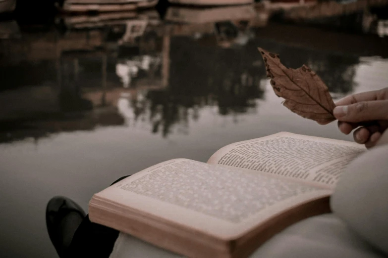 a person sitting on a bench reading a book, by Carey Morris, pexels contest winner, romanticism, brown water, floating spellbook, on a boat on a lake, middle close up composition